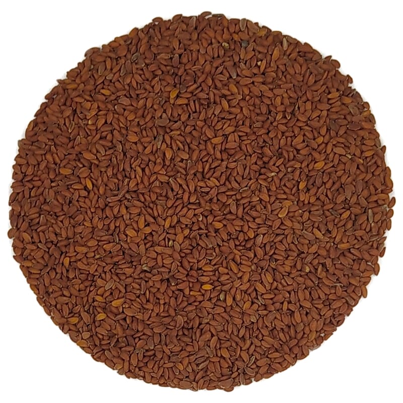 garden cress seeds where to buy Garden cress seedlings – Pit&Pit EN