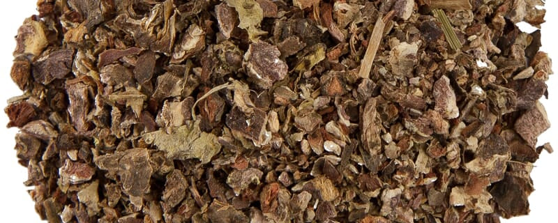 Rhodiola root