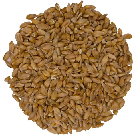 Belgian Organic Einkorn Wheat