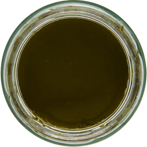 Pistou basil organic