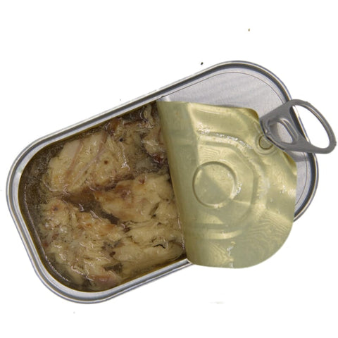 Scottish mackerel in water