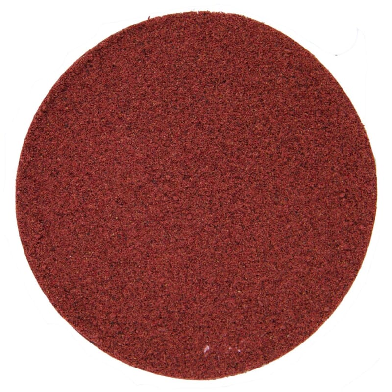 Blackcurrant powder freeze-dried – Pit&Pit EN