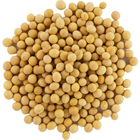 food_pulses_soy