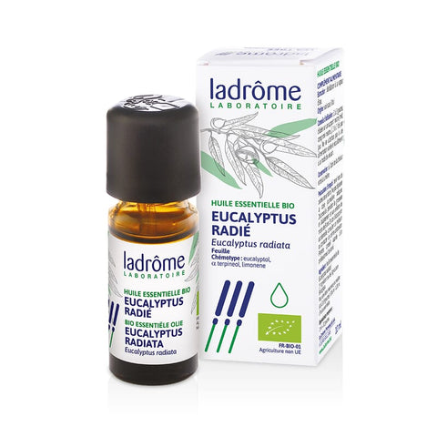 Eucalyptus radiata etherische oil LaDrome organic