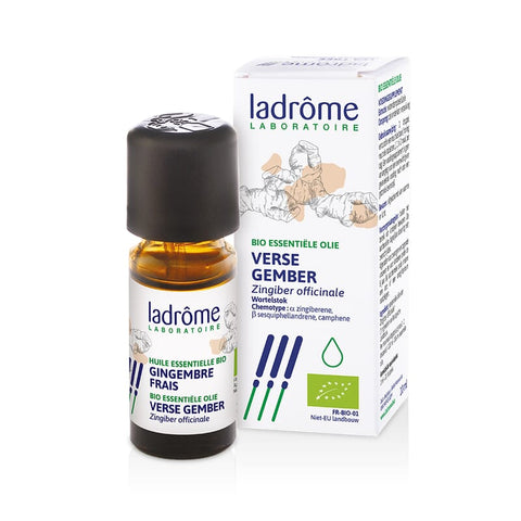 Gember essential oil Ladrome bio