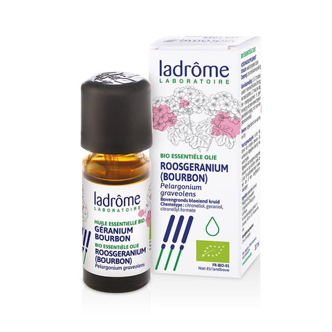 Rose geranium essential oil organic