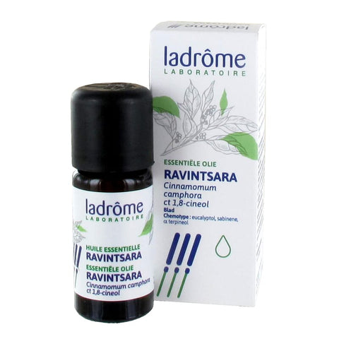 Ravintsara essential oil organic