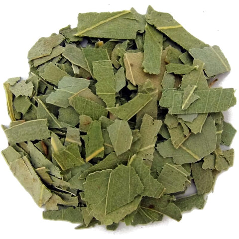 Eucalyptus leaves