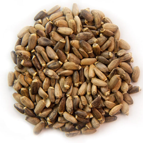 Milk thistle seeds