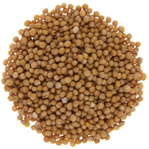 Yellow mustard seed