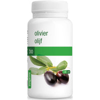Olive capsules organic