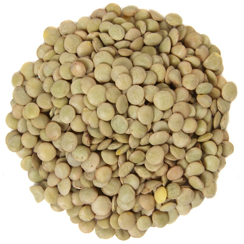 Green lentils organic