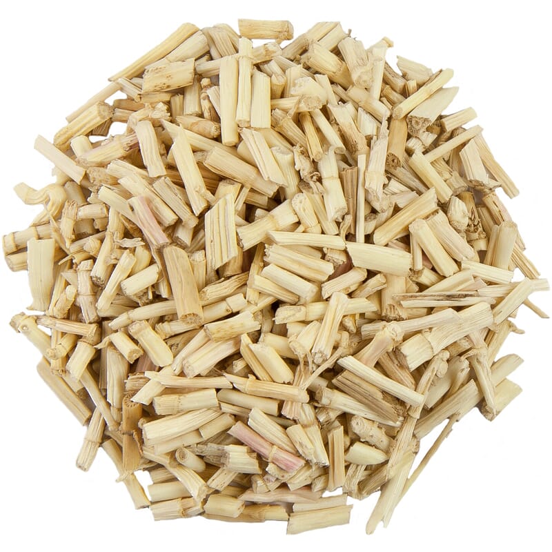 Pit Root Couch grass root – Pit&Pit EN