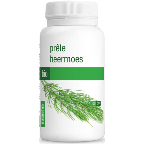 Horsetail capsules organic