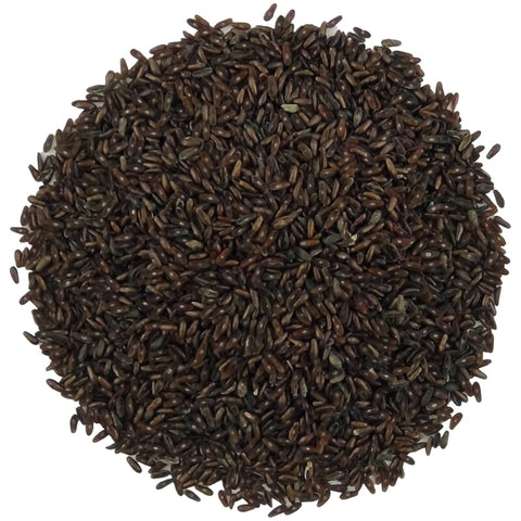 Black psyllium seed