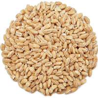 Barley hulled organic