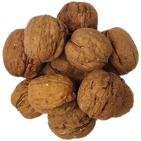 Walnuts in shell