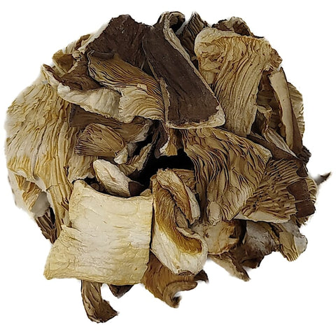 Oyster mushrooms organic