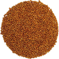 Sprouted millet organic