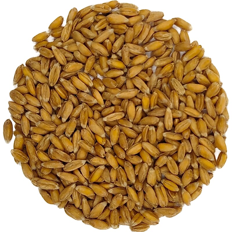 Sprouted spelt organic
