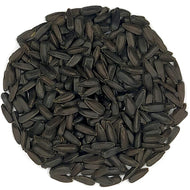 Sunflower seed germination seeds