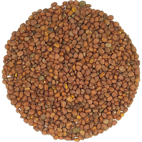 organic rose seeds China rose seedlings organic – Pit&Pit EN
